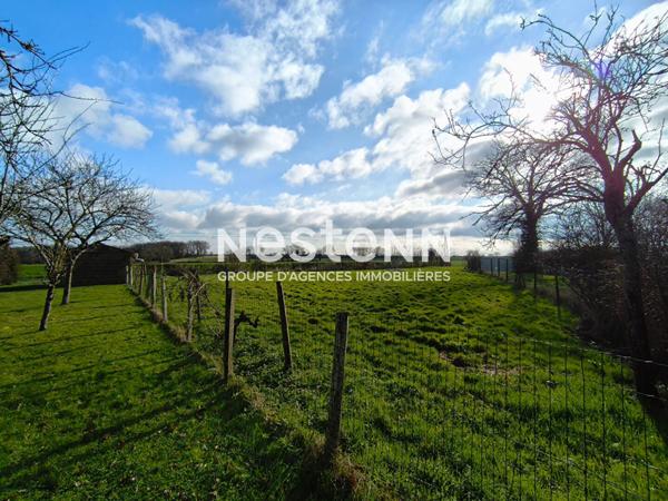 Maison à vendre proche Nueil-sur-Layon - Vaste terrain et dépendances -D6003