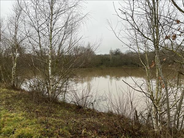 Terrain à vendre |  Saint-Désiré |  90000 m²