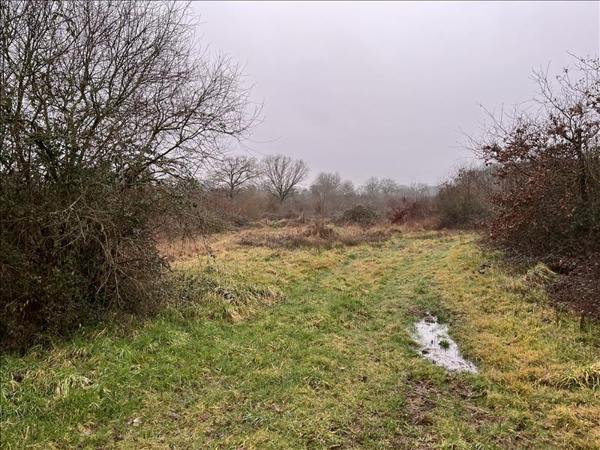 Terrain à vendre |  Saint-Désiré |  90000 m²