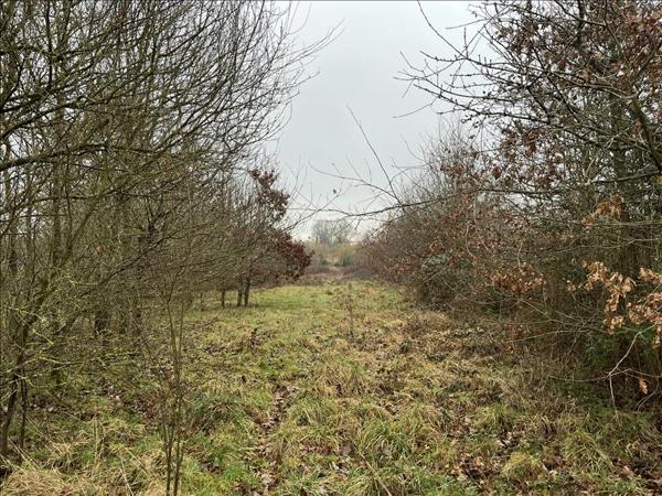 Terrain à vendre |  Saint-Désiré |  90000 m²