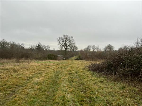 Terrain à vendre |  Saint-Désiré |  90000 m²