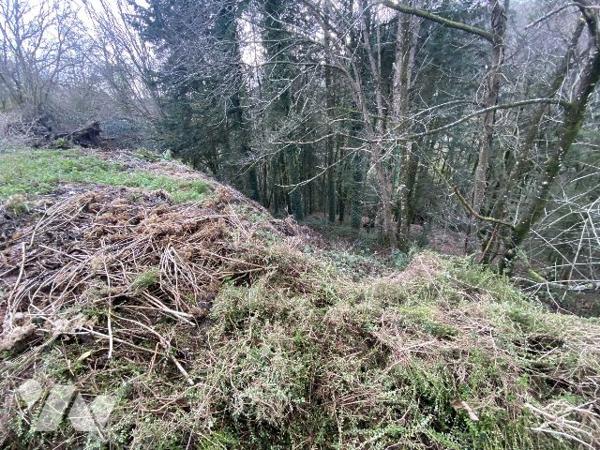 Terrain à vendre Quistinic