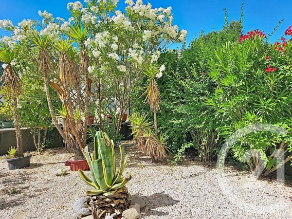 Appartement F3 à vendre  3 pièces - 92,95 m 2   CERET  - 66