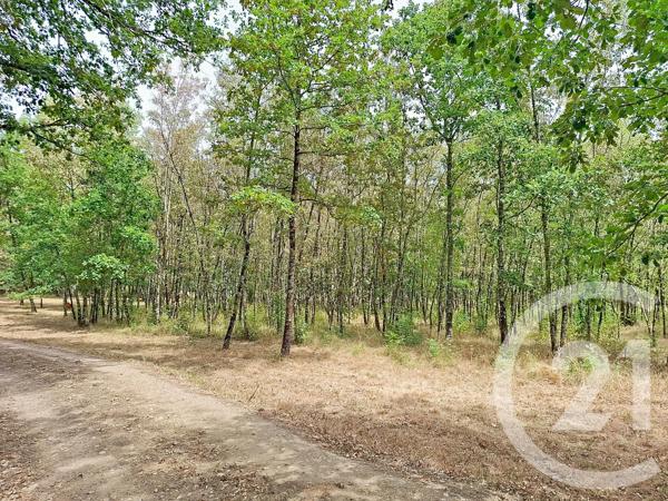 Maison à vendre  10 pièces - 433,37 m 2   LAVAUR  - 81
