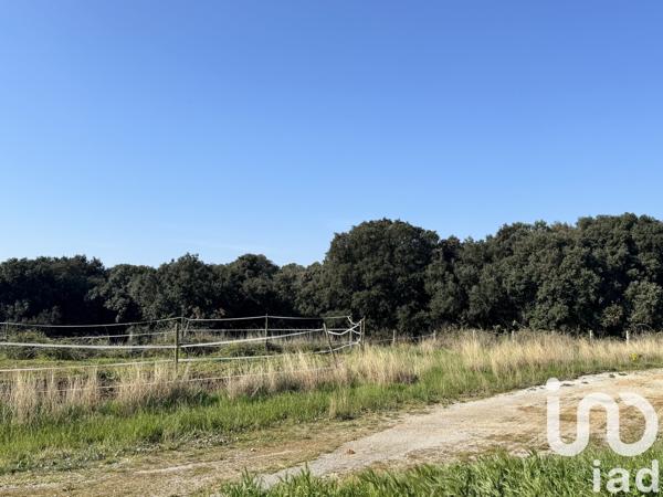 Terrain à vendre 1 800 m² Saint-Gilles