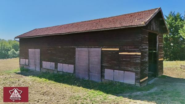Propriété équestre avec piscine et dépendances. Penne-d'Agenais (47140)