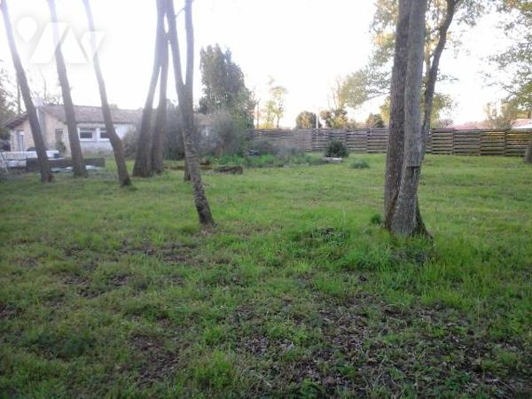 A vendre, Charente Maritime, Saint Just Luzac,  propriété sur environ 2 ha , comprenant une mai...