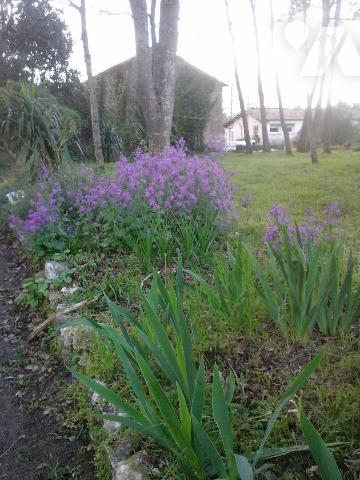 A vendre, Charente Maritime, Saint Just Luzac,  propriété sur environ 2 ha , comprenant une mai...