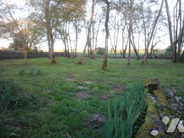 A vendre, Charente Maritime, Saint Just Luzac,  propriété sur environ 2 ha , comprenant une mai...