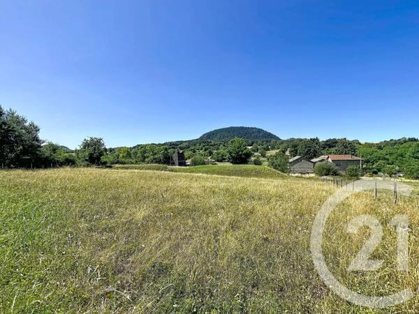 Terrain à vendre  1500 m 2   ST JULIEN DU PINET  - 43