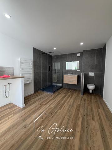 BELLE MAISON ENTIEREMENT RENOVEE A VARCES