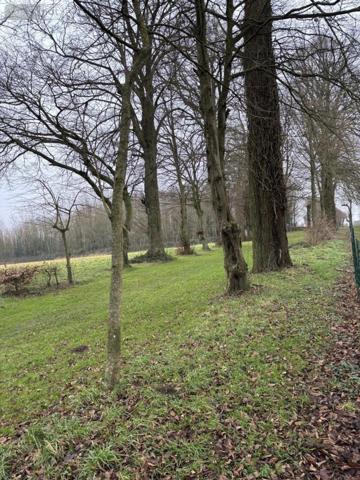 Terrain à Batir à vendre à Mailly-Maillet dans la Somme (80560), ref : 80121-2626