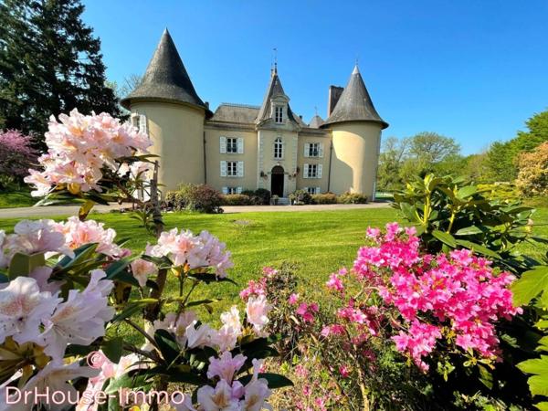 Château à vendre 18 pièces de 670 m²