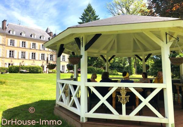 Château à vendre 18 pièces de 670 m²