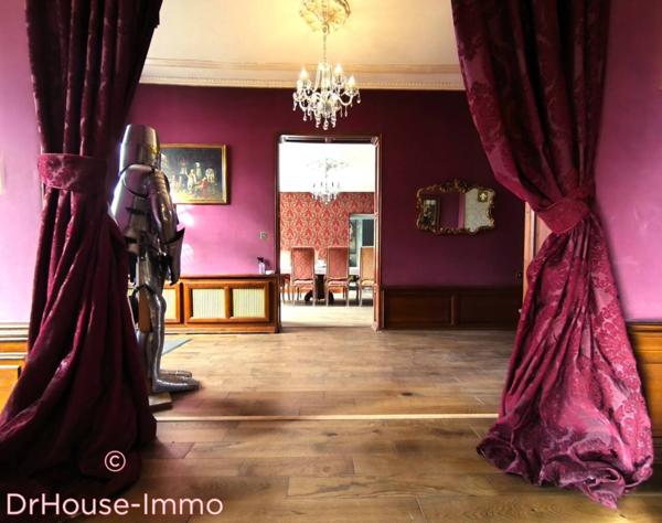 Château à vendre 18 pièces de 670 m²