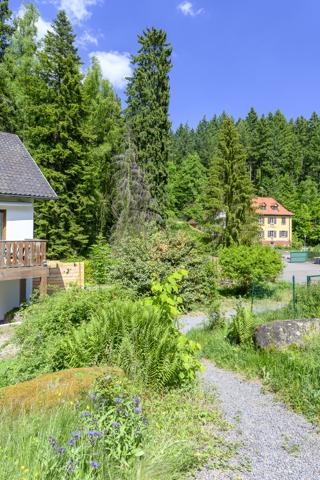 Magnifique 2 p état neuf dans la nature au bord de l'eau...