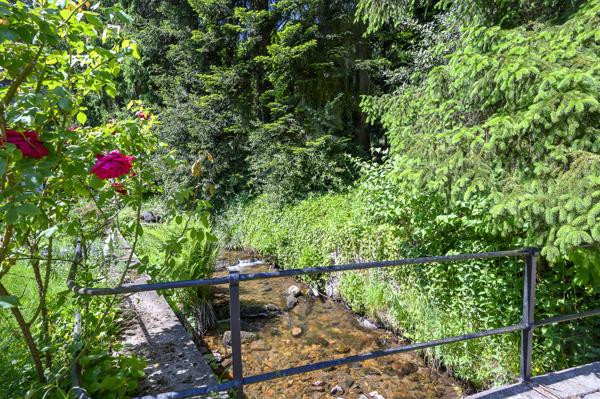 Magnifique 2 p état neuf dans la nature au bord de l'eau...