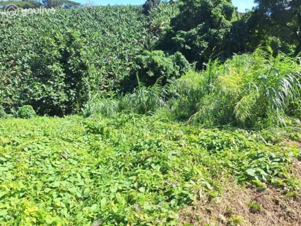 Le Lorrain – Terrain avec vue mer et fort potentiel de construction – 2 472 m²