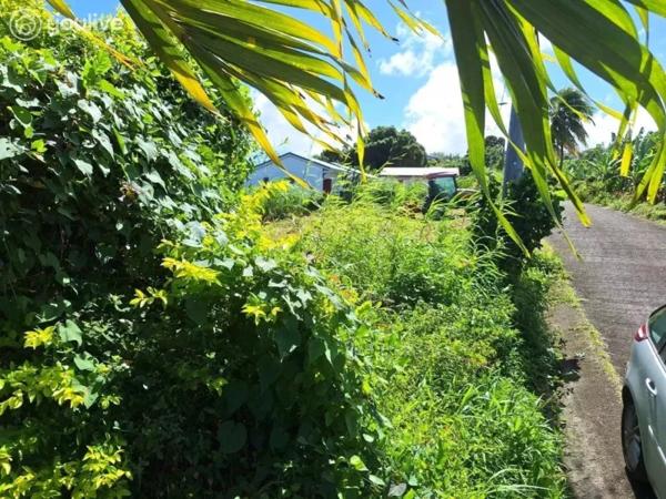 Le Lorrain – Terrain avec vue mer et fort potentiel de construction – 2 472 m²