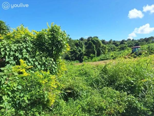Le Lorrain – Terrain avec vue mer et fort potentiel de construction – 2 472 m²
