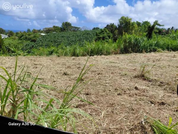 Le Lorrain – Terrain avec vue mer et fort potentiel de construction – 2 472 m²