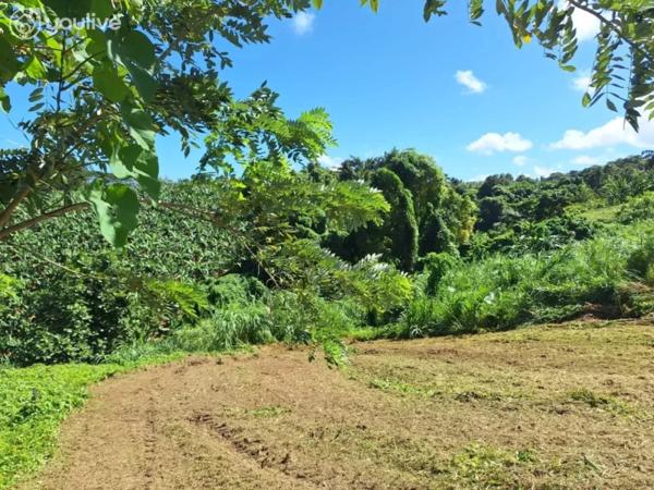 Le Lorrain – Terrain avec vue mer et fort potentiel de construction – 2 472 m²
