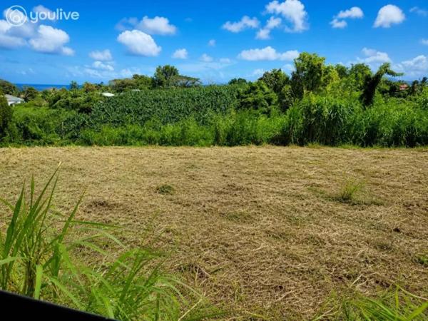 Le Lorrain – Terrain avec vue mer et fort potentiel de construction – 2 472 m²