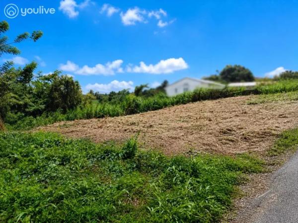 Le Lorrain – Terrain avec vue mer et fort potentiel de construction – 2 472 m²