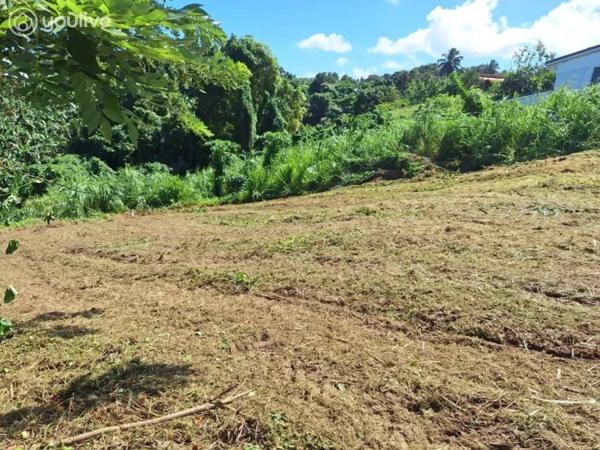 Le Lorrain – Terrain avec vue mer et fort potentiel de construction – 2 472 m²