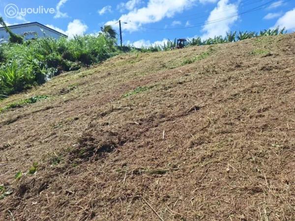 Le Lorrain – Terrain avec vue mer et fort potentiel de construction – 2 472 m²