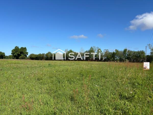 Grand terrain à bâtir de plus de 4 000 m² – Liberté et potentiel