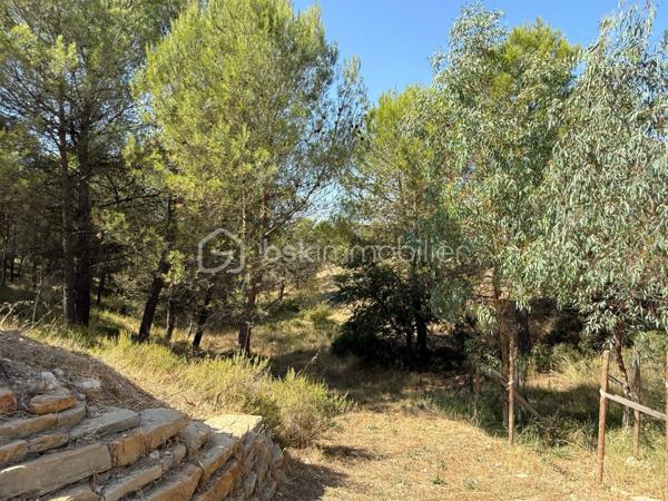 Exclusivité - Dans un environnement naturel privilégié, au calme absolu, découvrez cette propriété offrant un cadre de vie rare, où nature, volumes généreux et confort se conjuguent harmonieusement.
Construite en 2009 et rénovée depuis afin d’améliorer encore son niveau de confort, la maison développe environ 245 m² habitables essentiellement de plain-pied et 388  m² au total avec ses annexes, et bénéficie aujourd’hui de prestations de grande qualité. Elle est notamment entièrement climatisée par un système gainable réversible et équipée de panneaux photovoltaïques.

De plain-pied, elle propose un vaste salon-séjour, prolongé par une cuisine équipée, composant un espace de vie généreux et convivial. Une première terrasse, pouvant être entièrement fermée, prolonge agréablement cet espace et permet d’en profiter pleinement, notamment aux beaux jours comme sous le soleil d’hiver.

L’espace nuit accueille une suite parentale avec salle de bains et WC privatifs, ainsi que deux grandes chambres avec dressing. L’une d’elles bénéficie d’un accès direct à une seconde terrasse équipée de parois vitrées amovibles, offrant un véritable espace supplémentaire à aménager selon vos envies, actuellement utilisé en salle de sport. Une salle d’eau ainsi qu’un WC indépendant complètent ce niveau.

À l’étage, deux chambres supplémentaires et une salle d’eau offrent un espace idéal pour accueillir confortablement famille et amis.

Enfin, une grande buanderie ainsi qu’un double garage complètent les prestations de la maison.

À l’extérieur, le cadre prend toute sa dimension : 10 000 m² de terrain entièrement clôturé, arboré et boisé, au cœur d’une nature omniprésente offrant intimité et sérénité. Une superbe piscine lagon s’intègre naturellement dans cet écrin de verdure et participe à un espace de vie extérieur exceptionnel.
Un carport permettant d’abriter deux véhicules, en complément du double garage, ainsi qu’un cabanon viennent compléter l’ensemble.

Et pourtant, cet environnement préservé reste parfaitement connecté : Aix-en-Provence est accessible en environ 25 minutes, la gare TGV d’Aix-en-Provence et l’aéroport Marseille-Provence en environ 30 minutes. Lambesc dispose de ses propres écoles maternelles et élémentaires ainsi que d’un collège. Des liaisons en bus permettent également de rejoindre Aix-en-Provence, complétées par des dessertes scolaires.

Une propriété particulièrement aboutie et prête à vivre : ici, il ne reste plus qu’à poser ses valises et profiter des lieux.
En option et en supplément du prix affiché, la propriété pourra également être acquise avec son mobilier, permettant à ses futurs propriétaires, s’ils le souhaitent, de conserver l’aménagement actuel et de s’installer immédiatement.

En option et en supplément du prix affiché, la propriété pourra également être acquise avec son mobilier, permettant à ses futurs propriétaires, s’ils le souhaitent, de conserver l’aménagement actuel et de s’installer immédiatement.
