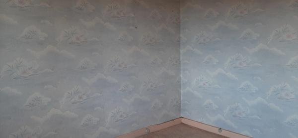 PAVILLON INDIVIDUEL SUR SOUS SOL COMPLET