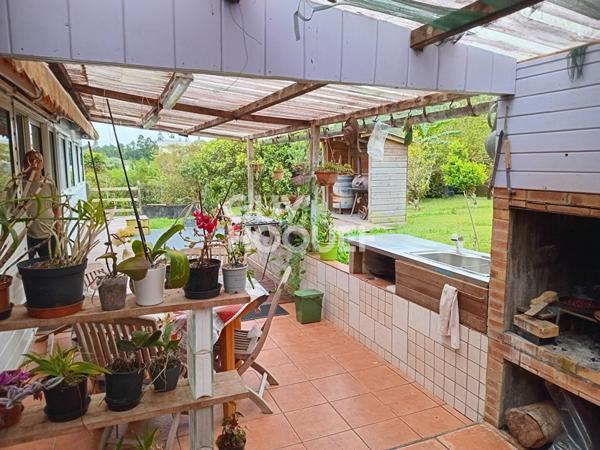 Maison La Plaine Des Palmistes 124 m2