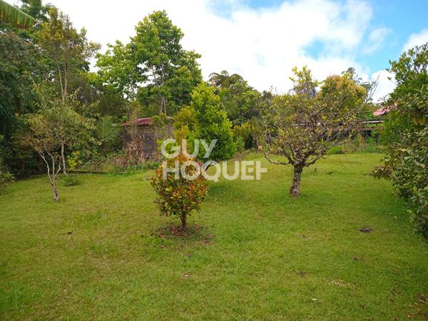 Maison La Plaine Des Palmistes 124 m2