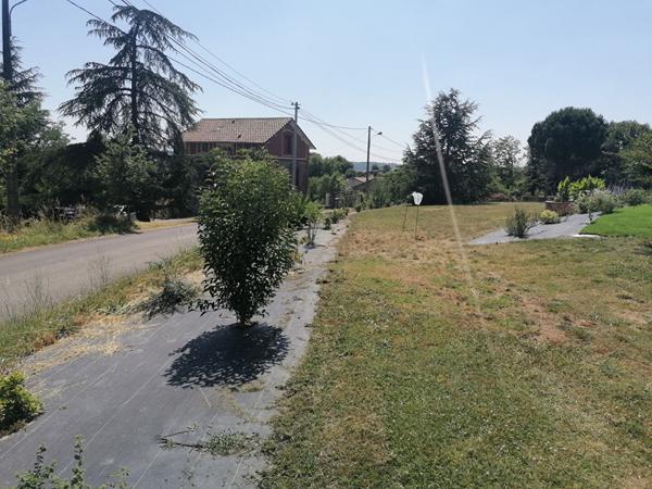 Carmaux, maison de type 8 de 189 m²