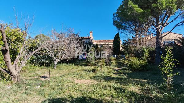 EN EXCLUSIVITE !! A vendre maison familiale 6 Pièces Villeneuve de la Raho. Rare sur le secteur !