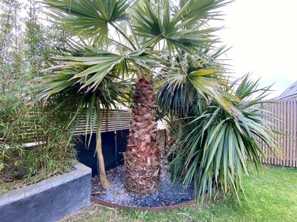 Dpt Finistère (29), à vendre CROZON maison P7