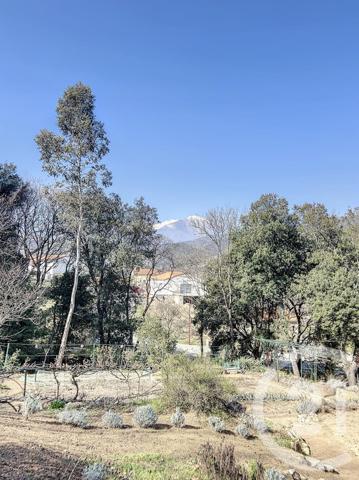 Maison à vendre  6 pièces - 183,80 m2 ARLES SUR TECH - 66