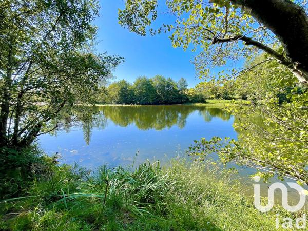 Terrain à vendre 1 857 m² Pouligny-Saint-Pierre