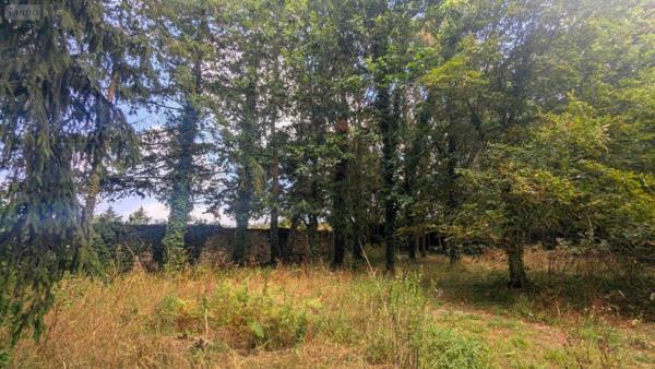 Maison à vendre à Renac en Ille-et-Vilaine (35660), ref : 2520