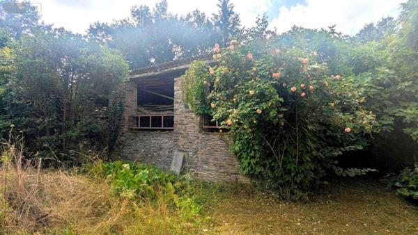 Maison à vendre à Renac en Ille-et-Vilaine (35660), ref : 2520