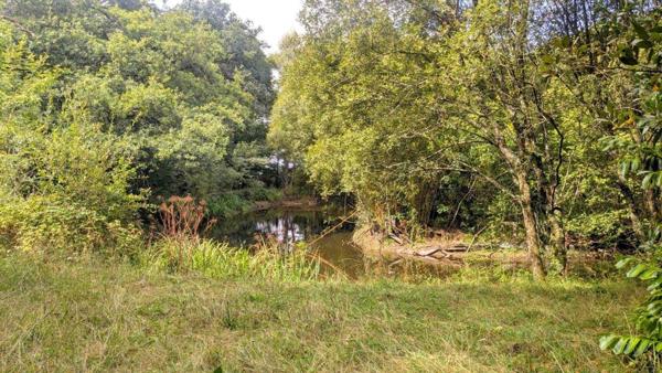 Maison à vendre à Renac en Ille-et-Vilaine (35660), ref : 2520