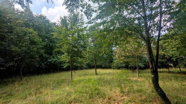 Maison à vendre à Renac en Ille-et-Vilaine (35660), ref : 2520