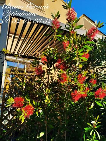 🏖️ Exclusivité – T2 Horizon Marin, Sète La Corniche | Terrasse Sud, Accès Direct Plage