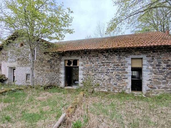 Immeuble + de 500 m2 FIX SAINT GENEYS (43)