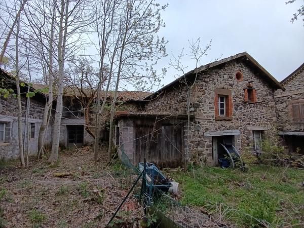 Immeuble + de 500 m2 FIX SAINT GENEYS (43)