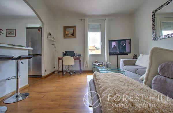 Céret (66400) Charmant appartement T2 avec jardinet