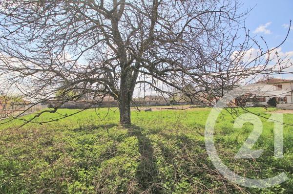 Terrain à vendre  846 m2 DAGNEUX - 01