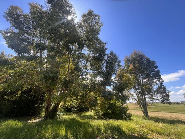 Mauvezin (32120) Ancien Corps de Ferme Gersois à Rénover – 130 m² Habitation + 550 m² Dépendances – Vue Pyrénées